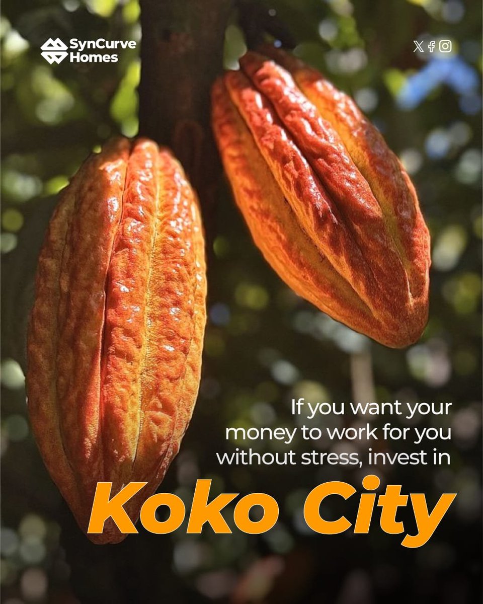 syncurvehomes's tweet photo. Some investments demand your constant attention.
Others are built to grow quietly over time. 🌱
#SyncurveHomes #KokoCity #AgribusinessNigeria #PassiveIncome #CocoaInvestment #SmartWealth #AgriculturalInvestment https://t.co/t94ly4PSrT
