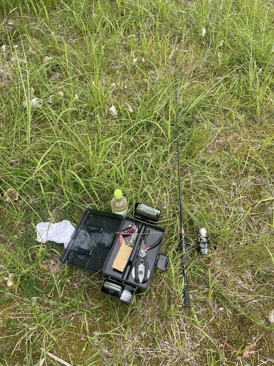 gnu_sk_kg's tweet photo. GFP28日目🎣

明日から雨模様が続きそうなので
20時まで粘ったけどボーズ🤣
アタックは8回あったのに一回ものせられん😭
晴天続きで水位下がっていつもの場所に全然いないし

｢だんだんナマズさんの釣り方が分かってきた｣とかほざいてたがアレは嘘だっ‼️

また動画見て勉強しなきゃ... https://t.co/geilE78RHu