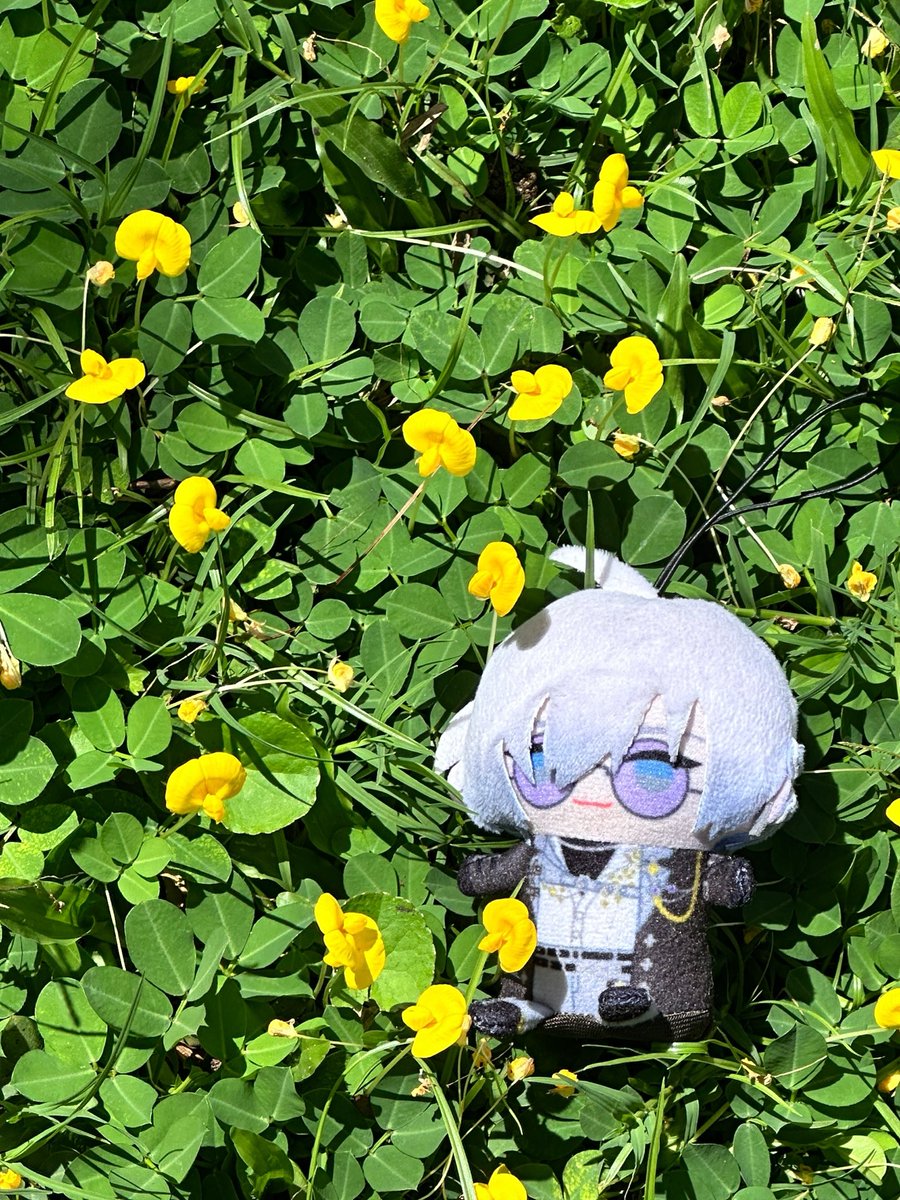 where2kae's tweet photo. #デボネみる 💛 https://t.co/Wk5nItCXfK