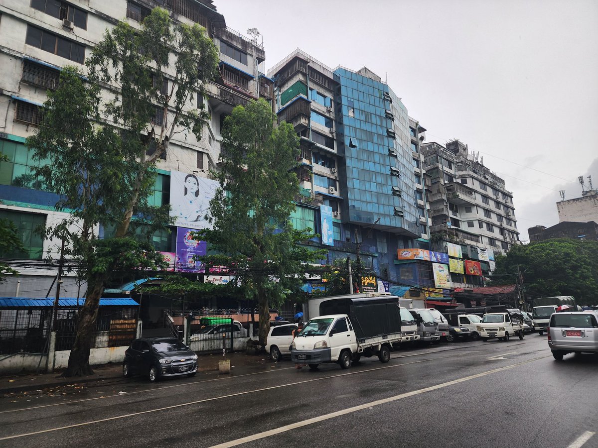 yangonow's tweet photo. Nyaun Pin Lay Zay の菩提樹が電柱や電線を巻き込みながら倒れ、周辺地域は昨日から停電となっています。復旧は明日になるとのこと。Nyaun Pin（菩提樹）がなくなってしまったら、「Nyaun Pin（菩提樹）Lay（小さい）Zay（市場）」はどうなるのでしょうか……😢 https://t.co/Yx2TFDJEjS