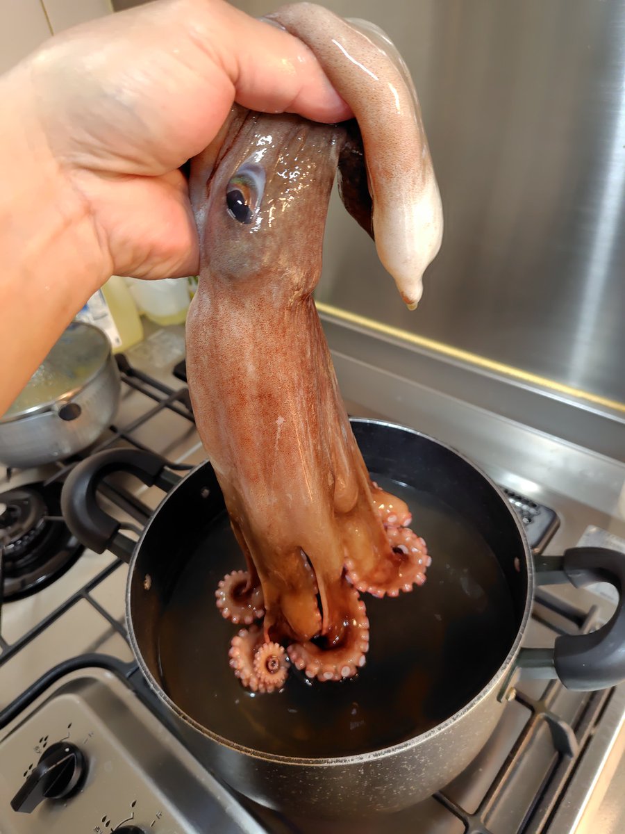 ebiRider21's tweet photo. 魚屋で丸々一匹のタコを見つけた🐙

まだ細胞が生きてるのか吸盤が吸い付く

早速茹でて美味しく頂きました😋

乾杯🍻

#晩酌
#家飲み
#タコ
#茹でタコ https://t.co/WdIEAK0Ov5
