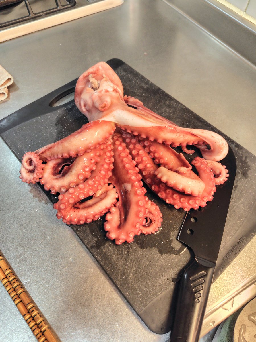 ebiRider21's tweet photo. 魚屋で丸々一匹のタコを見つけた🐙

まだ細胞が生きてるのか吸盤が吸い付く

早速茹でて美味しく頂きました😋

乾杯🍻

#晩酌
#家飲み
#タコ
#茹でタコ https://t.co/WdIEAK0Ov5
