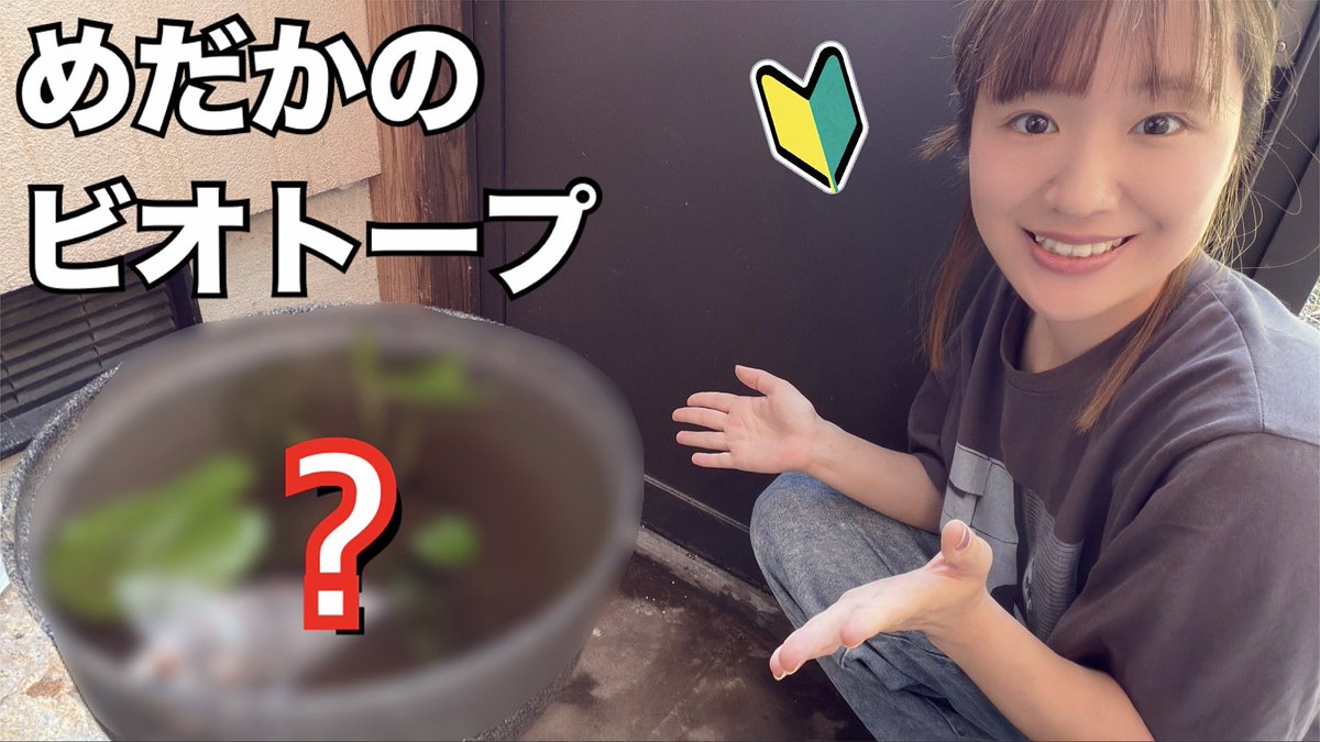 かめのこ カメまる子🐢 (@napo_gggggg) / Posts / X