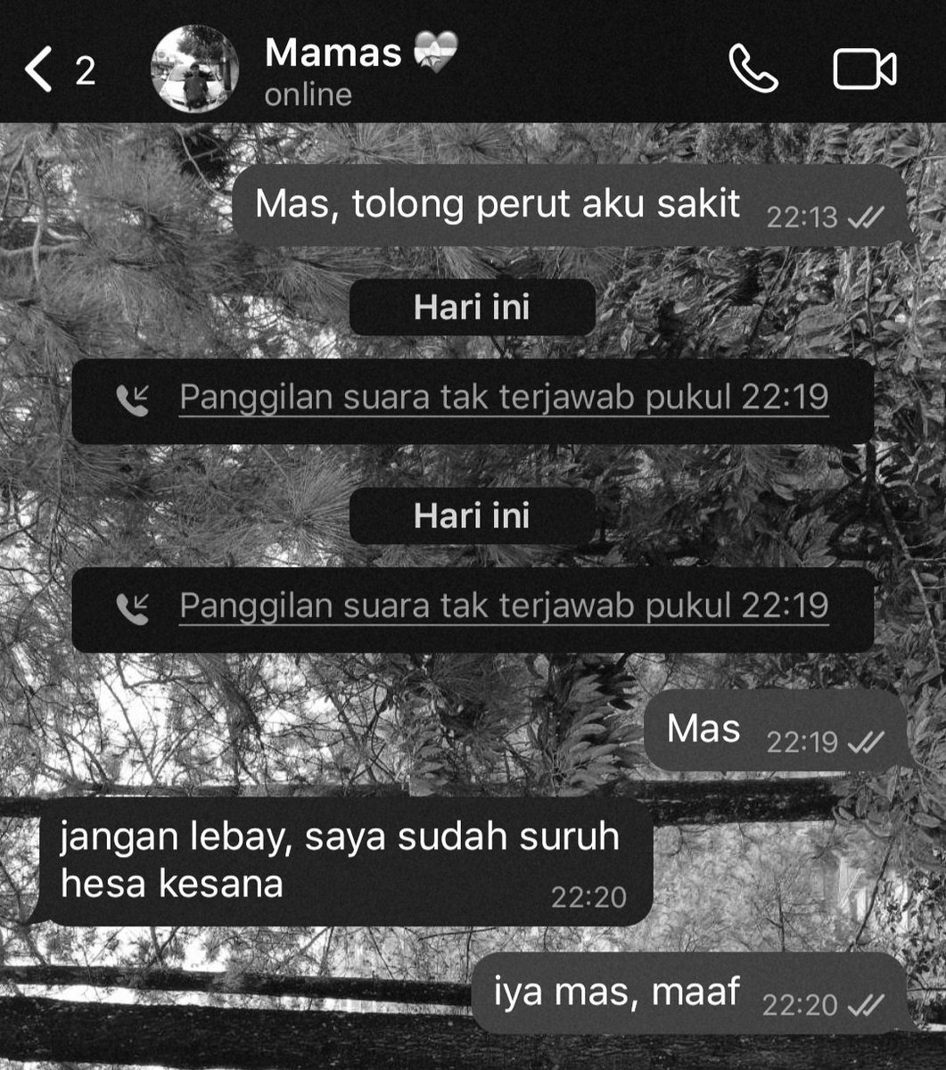 Kahf tweet media
