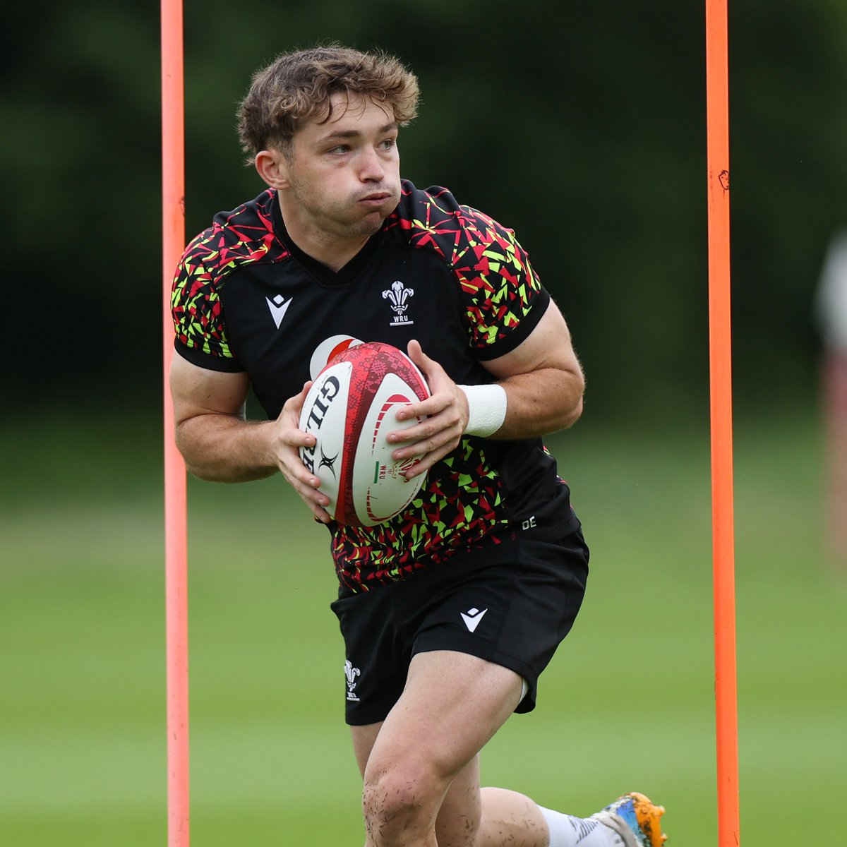ospreys tweet picture