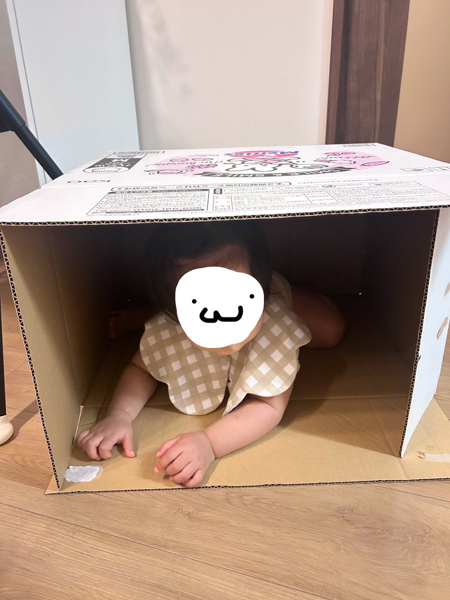 berryhappybee's tweet photo. 段ボールを開封していたら👶🏻🍉🧡ﾀﾝが入って遊んでて可愛すぎた💕 秘密基地みたいで楽しいのかな？♡ 本当は虫とか嫌だからすぐ捨てたいけど、あまりに楽しそうだから置いておくことにした🥹💕 https://t.co/Ph8jr6NtqH