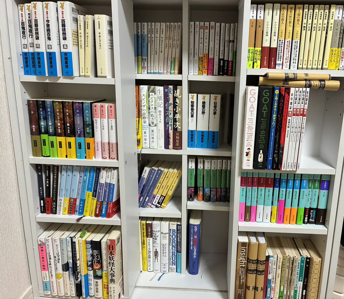 ishicyan096096's tweet photo. 読書歴半年の本棚です。
まだ10冊くらいしか読めてなくてほとんどが積読本です。 https://t.co/Sbud9Nf5J1