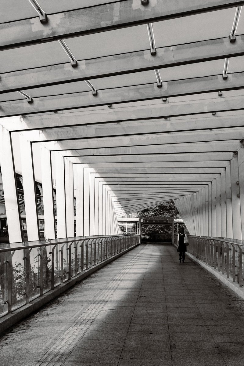 yangyiphoto's tweet photo. 久しぶり晴れた朝の歩道橋

X-E4   

#fujifilm_xseries 
#キリトリセカイ 
#写真好きな人と繋がりたい 
#フジフイルムで撮る中国 
#streetphotography https://t.co/Li1mutfir8