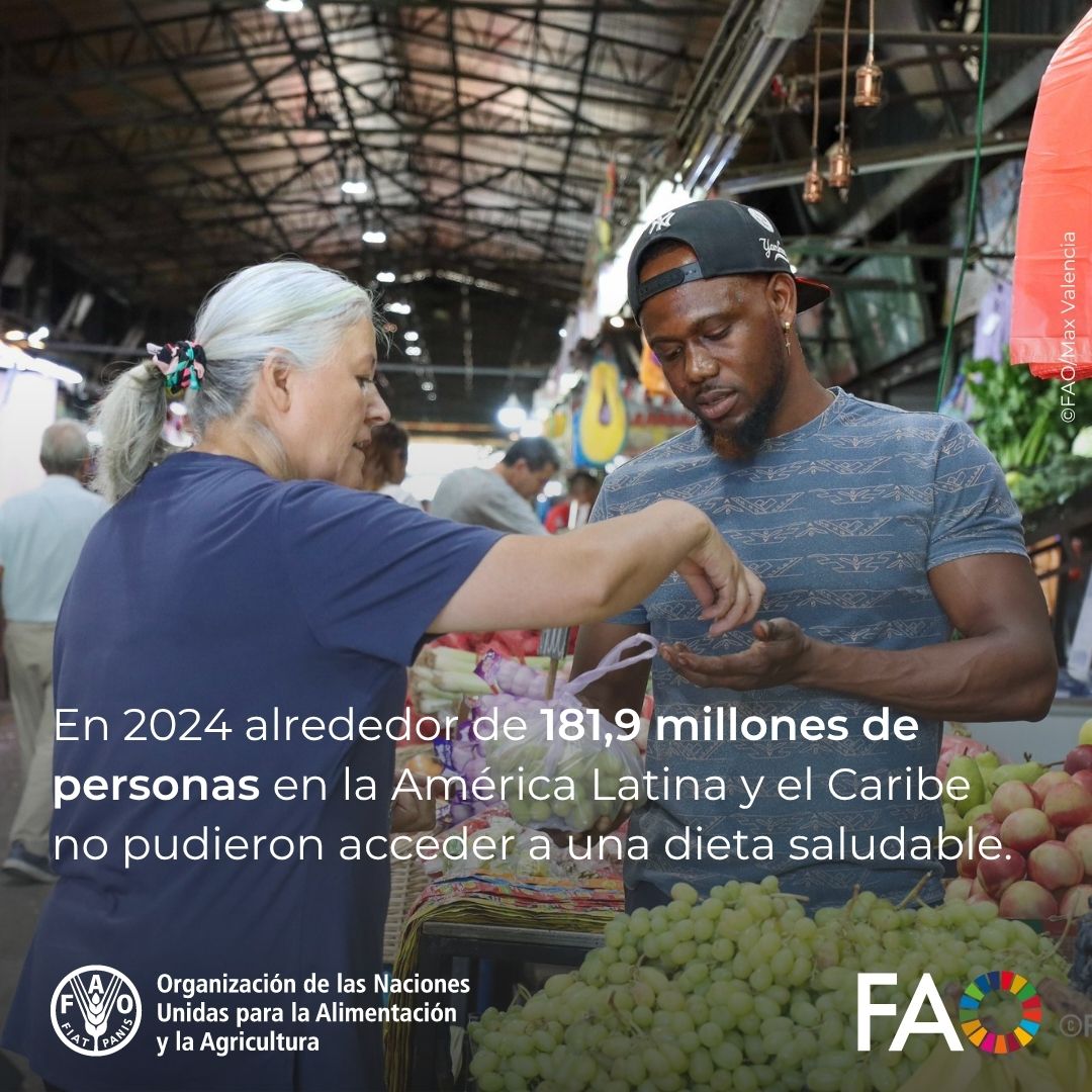 FAOAmericas's tweet photo. 💸¿Por qué comer saludable sigue siendo un desafío para América Latina y el Caribe? 🥦

Aunque el hambre ha disminuido en los últimos años en la región, millones de personas aún no pueden acceder a una dieta saludable.

Descubre cuál es la causa👇

https://t.co/e5VsnNMTRL https://t.co/w2X2WALUwf