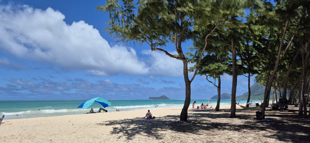 FedeUcke's tweet photo. @WSJ Waimalano beach HI https://t.co/57QlSteHkO