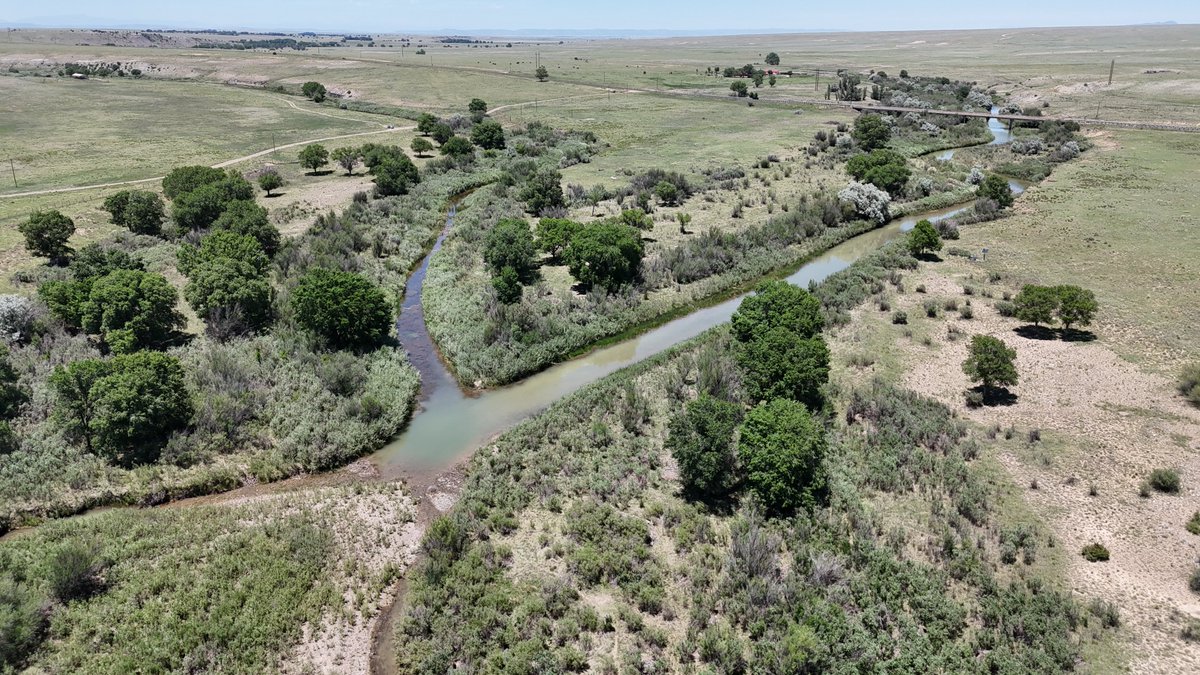 cognitivepolicy's tweet photo. Yesterday we visited the confluence of the Cimarron River (left) and the Canadian River (right) on the High Plains of New Mexico. Our bioregional pilgrimage through the Heart of Turtle Island is connecting us with water in ways that are hard to imagine.

Now we see how the snowpack in the Rockies creates headwaters that flow out into the high plains. Glacial tills from ancient ice sheets provide pathways for water to infiltrate into the ground. All that moves over the surface coming into alignment with the "Father of Waters" -- as the Ojibwe called the Mississippi River.

Water connects most of the continent. And we are witnessing the connections with our own eyes. Touching it with our hands. Sensing how to participate in regeneration within and among bioregions that form a tapestry of culture and ecology that spans Turtle Island.

Onward, fellow humans.