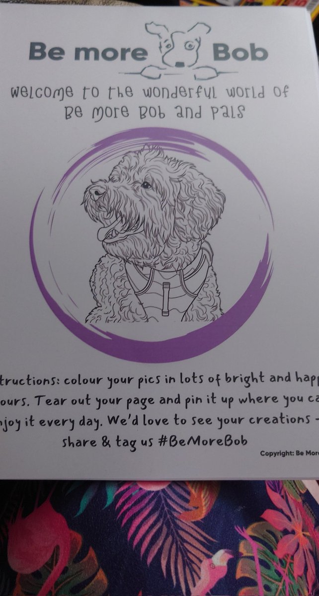 AndiWheeler2016's tweet photo. Lookie what just arrived from @bemorebob2 WooooHooooo!!! Can't wait to get my pens out and start colouring 🥰🥰🥰 https://t.co/6spI31ZBC8