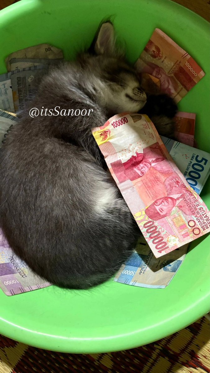 itsSanoor's tweet photo. Rahasia Tidur Malam yang Bikin Pagi Lebih Fresh!

Kiri atau Kanan? Ternyata beda banget efeknya buat tubuh! Kalian tim mana nihh??🤔
⏬ https://t.co/jVDYs3JBMU