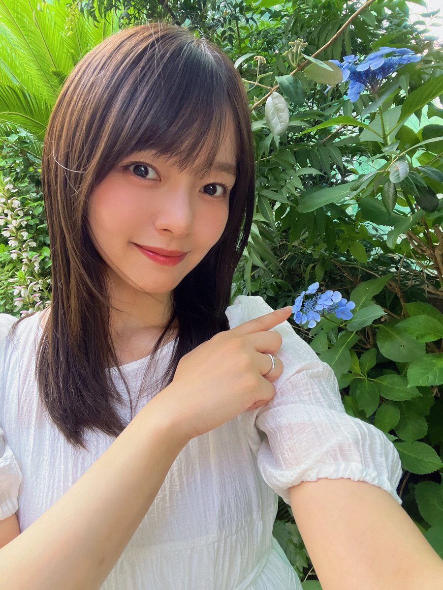 yuhki_takahata's tweet photo. #涙箱 
2日目もありがとうございました！

梅雨のじめじめと
初夏を感じる暑さでしたね🍃

劇場近くで小さな紫陽花見つけた💠
え？これって紫陽花だよね？ https://t.co/SVDpxlkUhT