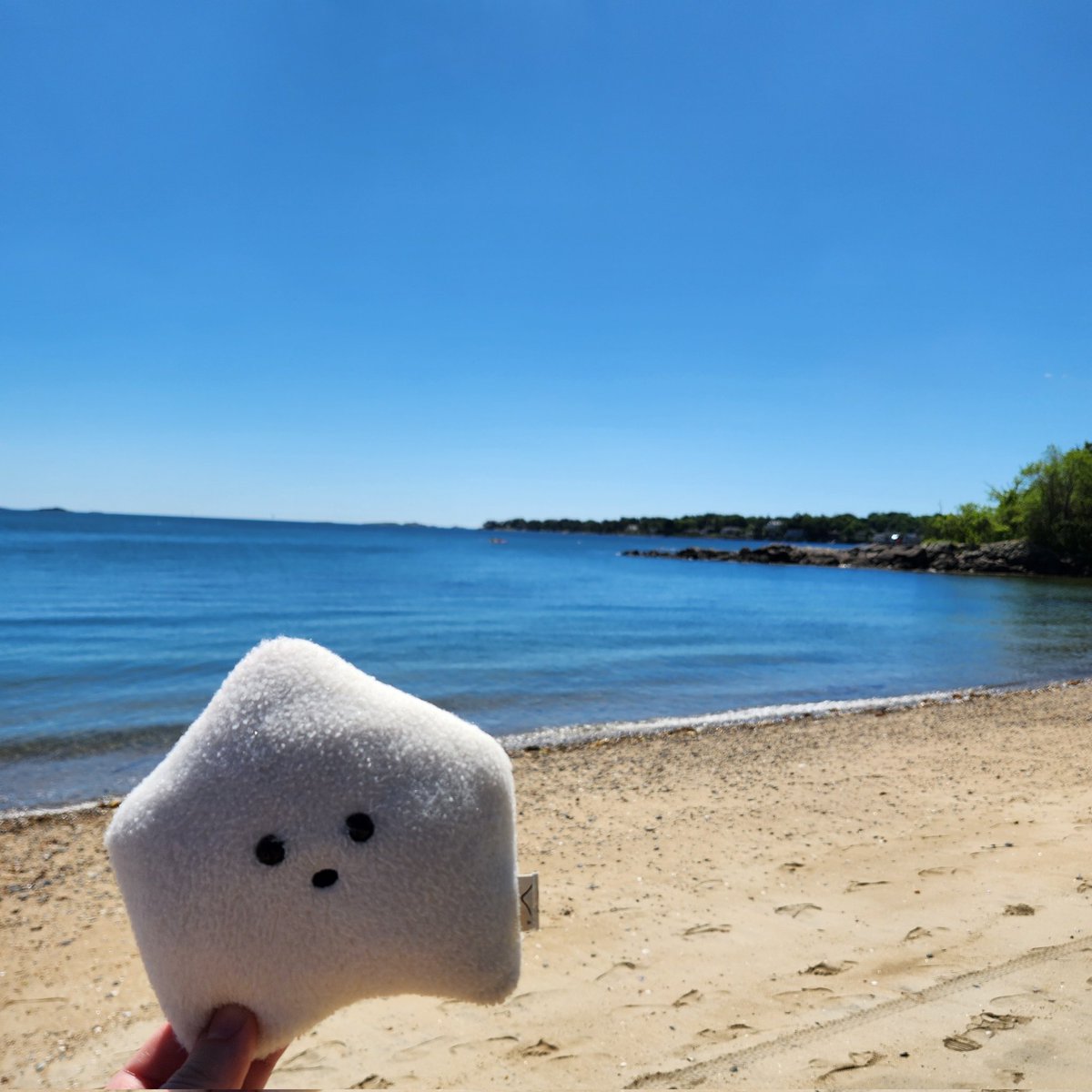 sucklet7's tweet photo. beach day. beach day. beach day. ππβοΈ.
#sucklet. #beachlet. #funlet. https://t.co/ivhKxiGQet