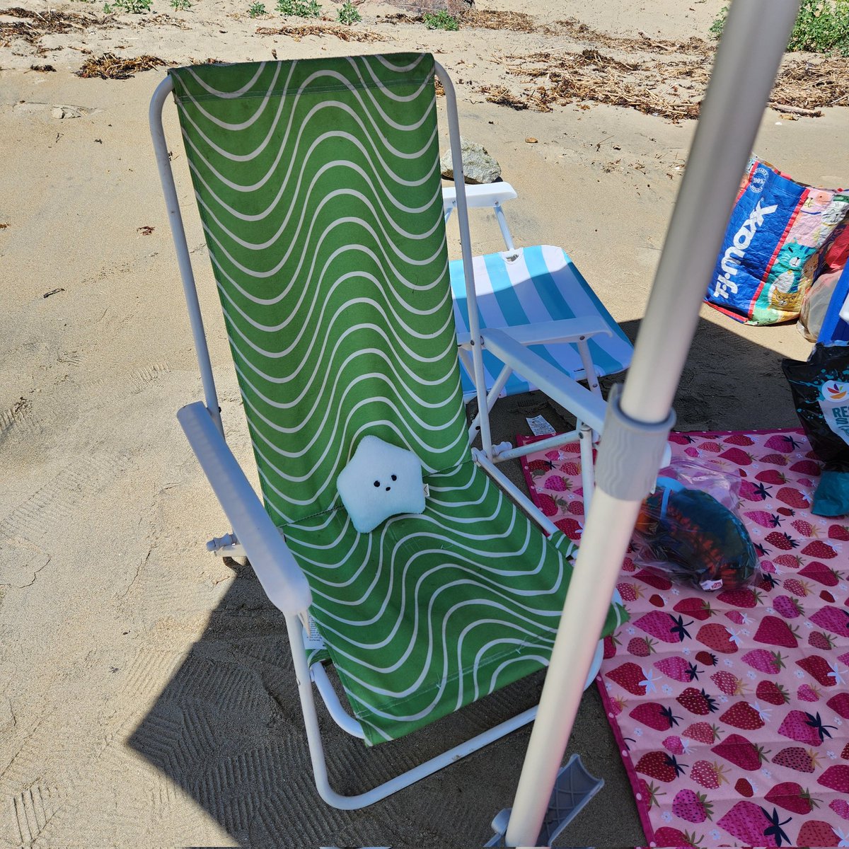sucklet7's tweet photo. beach day. beach day. beach day. ππβοΈ.
#sucklet. #beachlet. #funlet. https://t.co/ivhKxiGQet