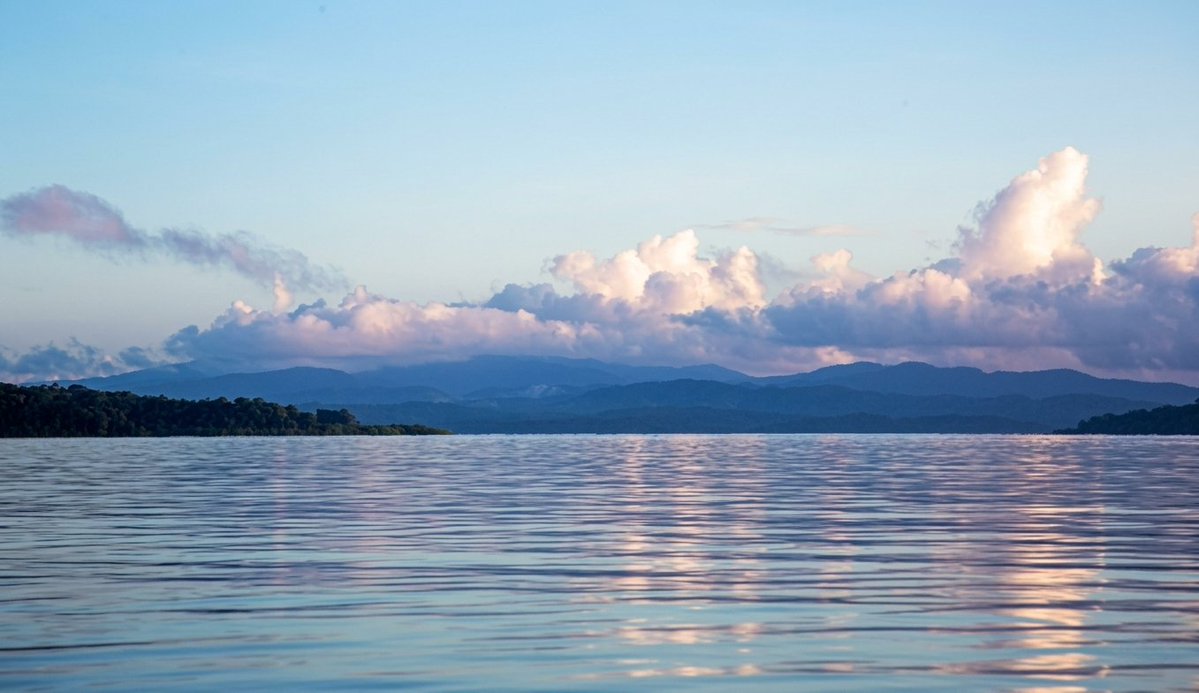 IndiaAesthetica's tweet photo. Mayabunder, Andaman and Nicobar 🌳🚣🌅🇮🇳 https://t.co/p8JkG8Lbwl
