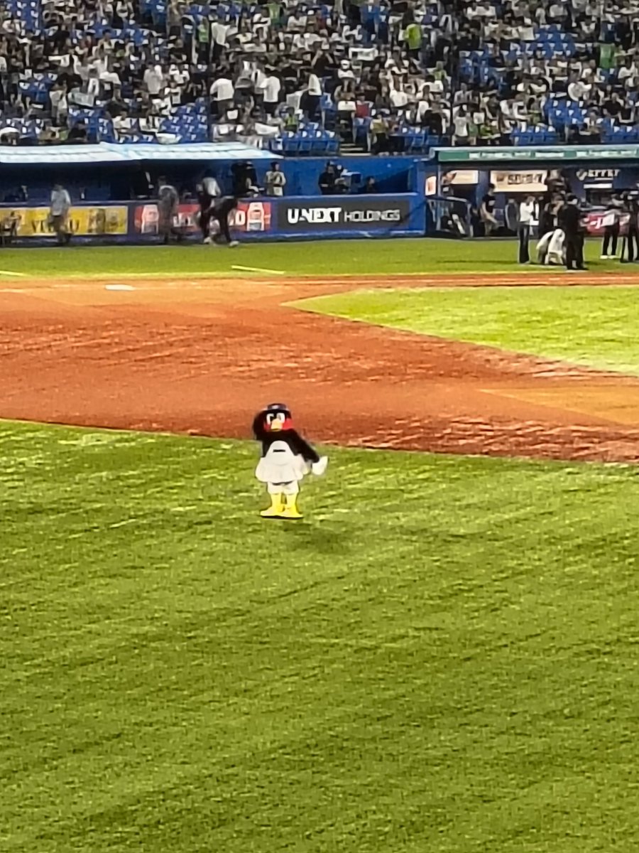 kumighty92's tweet photo. スワローズ勝った☀
たまたまビール半額だったので6杯呑んだ🍺🍺🍺🍺🍺🍺 https://t.co/opWGiS8zTV