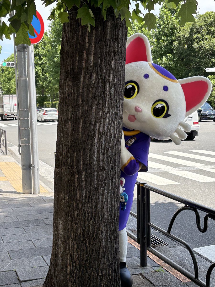 SistersOz's tweet photo. 明日のアド街ック天国は四ツ谷！
（四ツ谷なのか四谷なのか、それが問題だ、ぶつぶつ🤔💭）

予告編にはしんみち通りが映ったから
クリアソンのフラッグが見えました🟣

やっぱりあのお店は訪問するだろうか
どこが映るか楽しみだね、くりあにゃん😼 https://t.co/4PtyUUd4S7