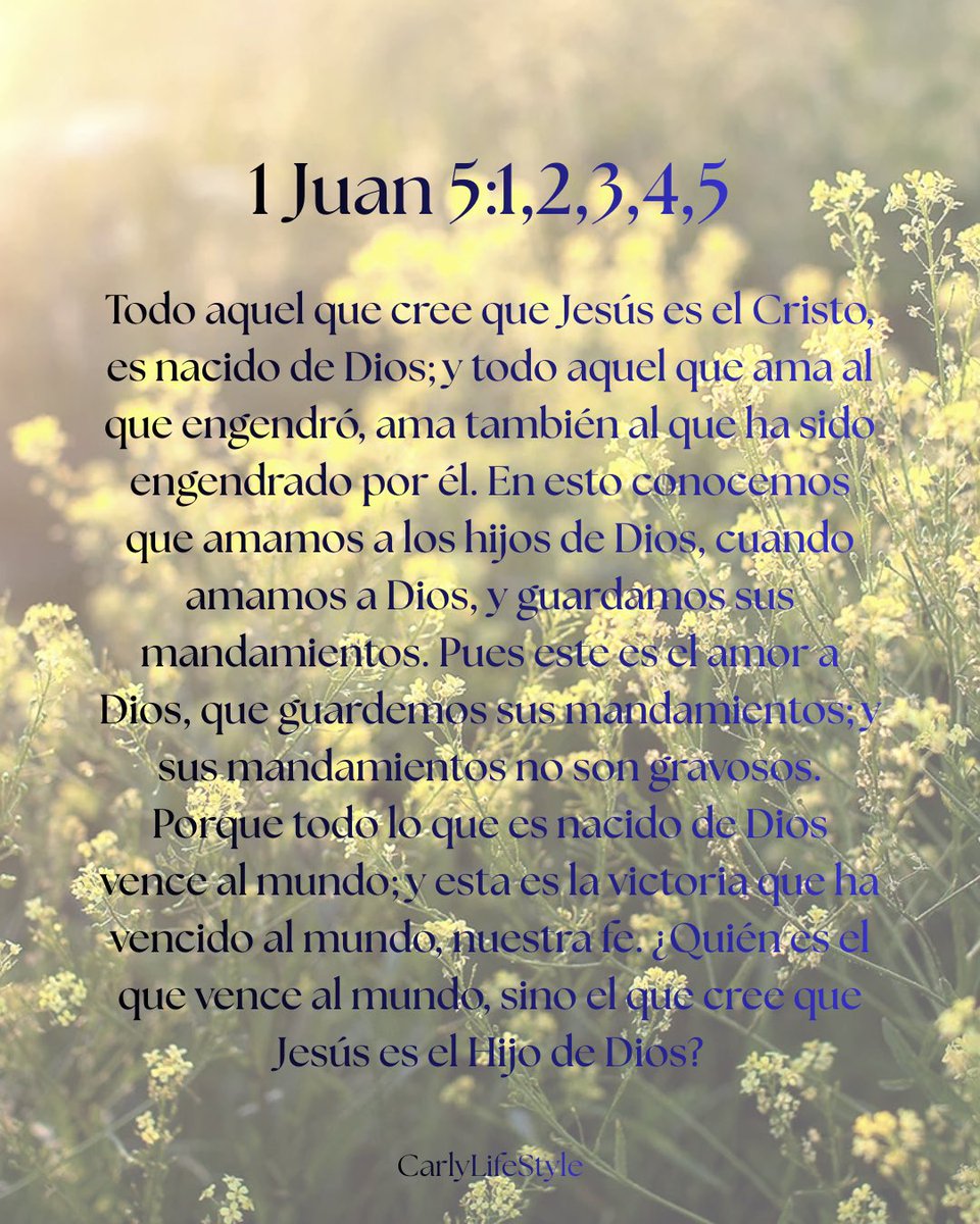CarlyLifeStyle's tweet photo. #DiosTodopoderoso #nacidodeDios #amamos #mandamientos #vencealmundo #victoria #fe https://t.co/SVBJNx7D1O