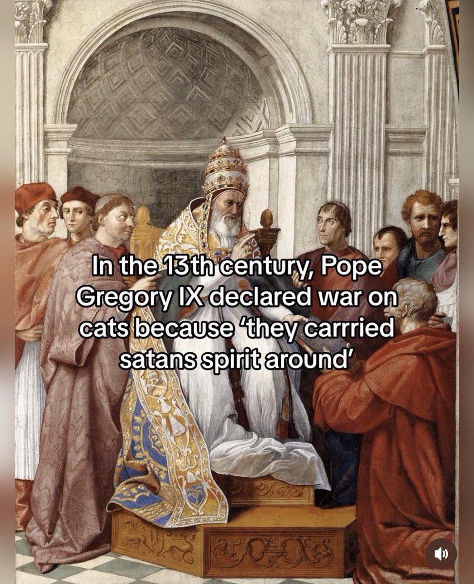 AlfredG63's tweet photo. When you are so lost, that you don’t follow the Bibles God anymore, this happens. https://t.co/URSfmv3DoO