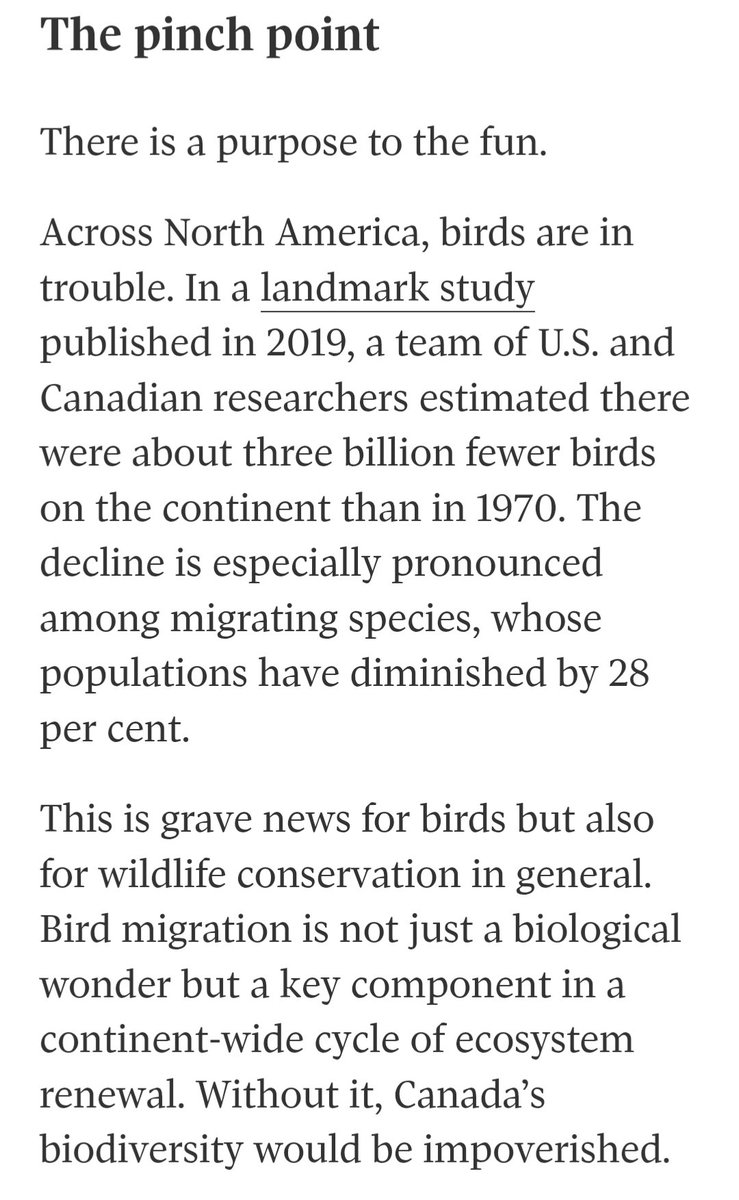 cathmiller01's tweet photo. ICYMI: A look at what comes next for PIBO and... Pelee Island.

As Mayor, I usually get to hear all kinds of development plans. Past and present Councils tout eco-tourism and sustainability, but what does that look like?

This is what it looks like 👏👏👏 @PeleeIslandBird https://t.co/ScHzq1TRx6