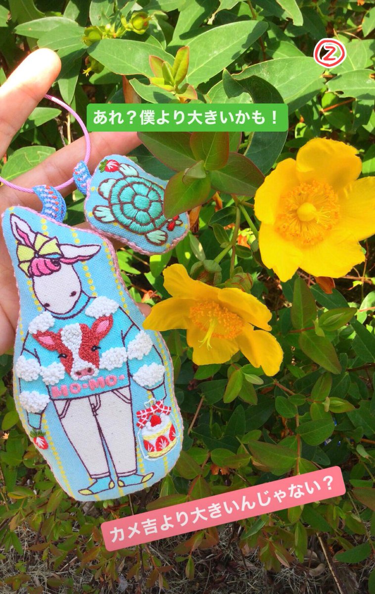 BonBon_Kyoto's tweet photo. ミシェル&amp;カメ吉おさんぽシリーズ♪🐇🐢 https://t.co/z5OCx63QXj
