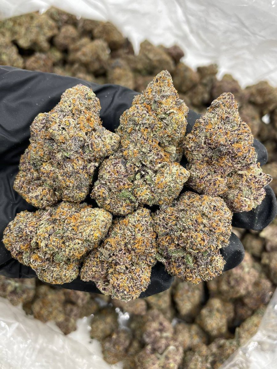 Chocobars01's tweet photo. Buy Psilocybin (magic mushrooms), LSD, DMT , 5-MeO-DMT, Mescaline, 2C-B, Ayahuasca, Ibogaine, MDMA
Cannabis flower (weed), Hashish, THC oil, THC vape cartridges, Edibles (THC-infused), Delta-9 THC, Delta-8 THC bud , lsd 
SUNNYVALE
PALO ALTO
NEWPORT BEACH
BELLEVUE https://t.co/5WR9fo2Y1Q