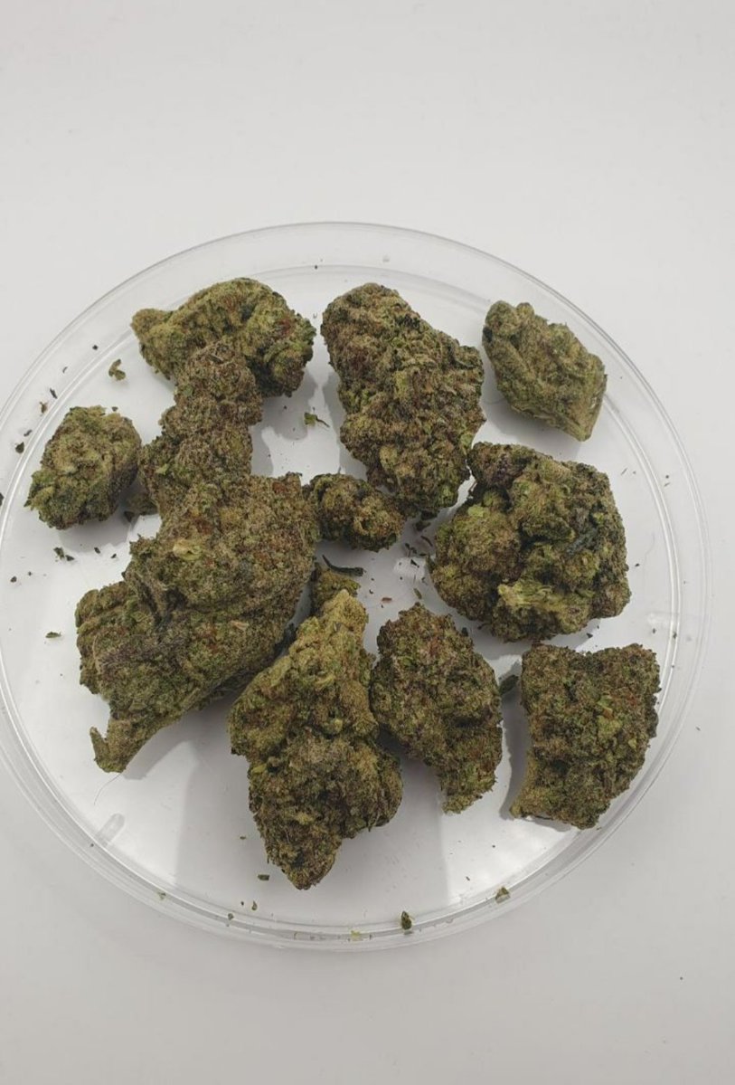 Chocobars01's tweet photo. Buy Psilocybin (magic mushrooms), LSD, DMT , 5-MeO-DMT, Mescaline, 2C-B, Ayahuasca, Ibogaine, MDMA
Cannabis flower (weed), Hashish, THC oil, THC vape cartridges, Edibles (THC-infused), Delta-9 THC, Delta-8 THC bud , lsd 
SUNNYVALE
PALO ALTO
NEWPORT BEACH
BELLEVUE https://t.co/5WR9fo2Y1Q