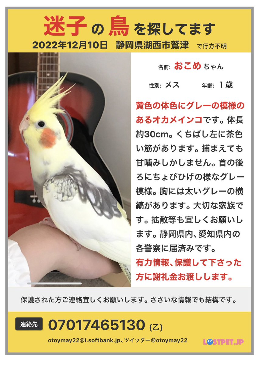 翔太@動物を救い隊☮️ tweet media