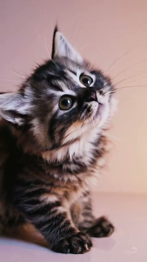 Josmi19's tweet photo. Little moments matter https://t.co/ypX51ofzgg