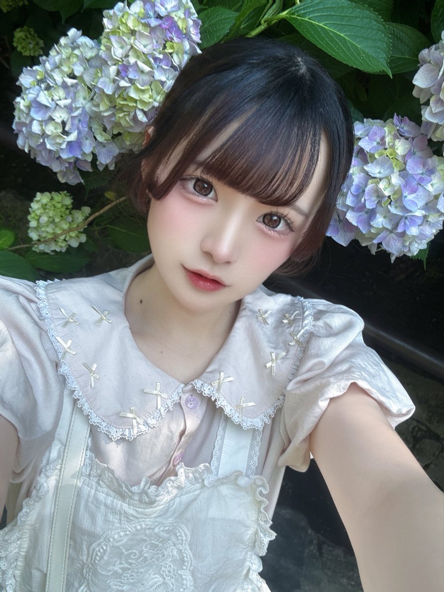 maid_urara1's tweet photo. あじさいの季節͛( ꜆ᐢ.  ̫ .ᐢ꜆ ).*🍃💠 https://t.co/5lcFDsxxXI