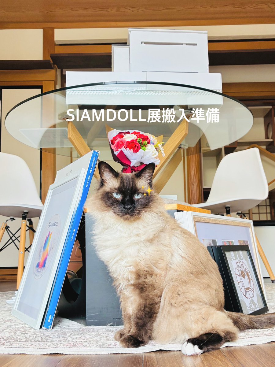 SIAMDOLL2021's tweet photo. いよいよ明日からSIAMDOLL展😊✨
設営完了にゃ😽🐾今年はAI建築元年!

※ご都合良ければご来場ください☂️☁️
#猫のいる暮らし #siamdoll #展示会 https://t.co/axTi3KcWKk