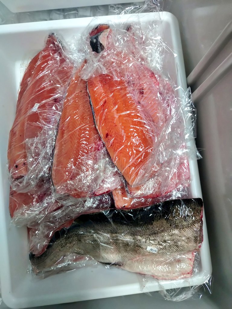 shagi1983's tweet photo. サンプリング。
学生が自分で考えて自走できるようになってきて、私が他の業務でパンク気味の時でも物事が進む。
ありがたい。 https://t.co/Phmha8dzGl