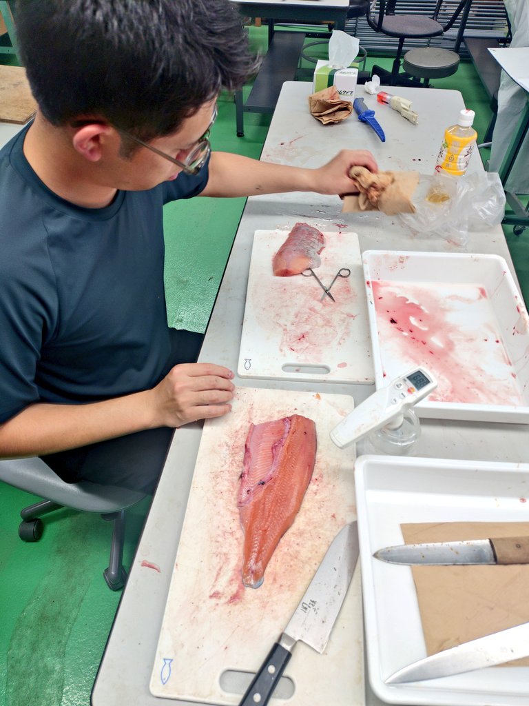 shagi1983's tweet photo. サンプリング。
学生が自分で考えて自走できるようになってきて、私が他の業務でパンク気味の時でも物事が進む。
ありがたい。 https://t.co/Phmha8dzGl