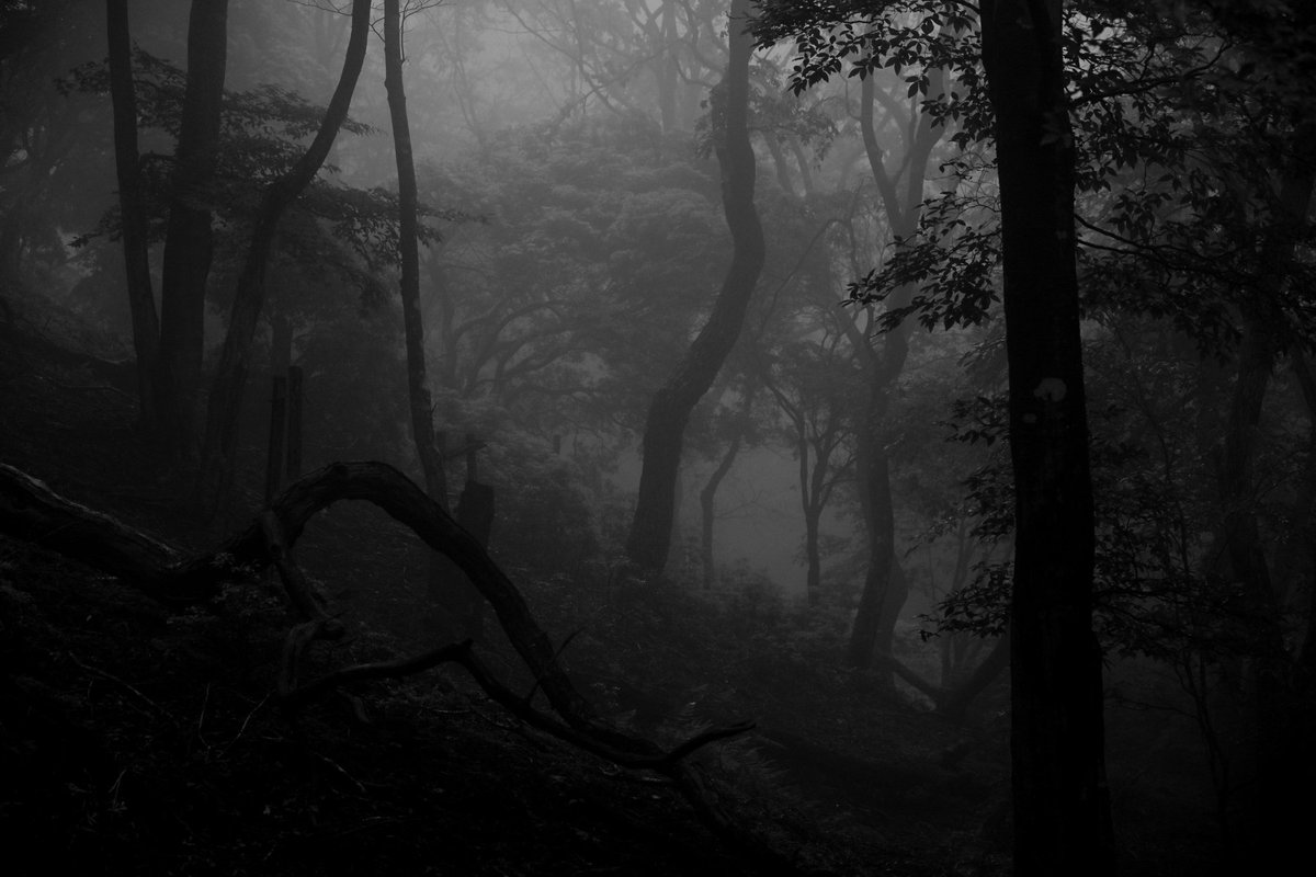 8703photography's tweet photo. https://t.co/czkhbOM8z3