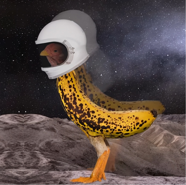 fadesafeplays's tweet photo. first chicken to land on space. 

NASA still investigating the chicken banana. https://t.co/Kv9TRgUPCM