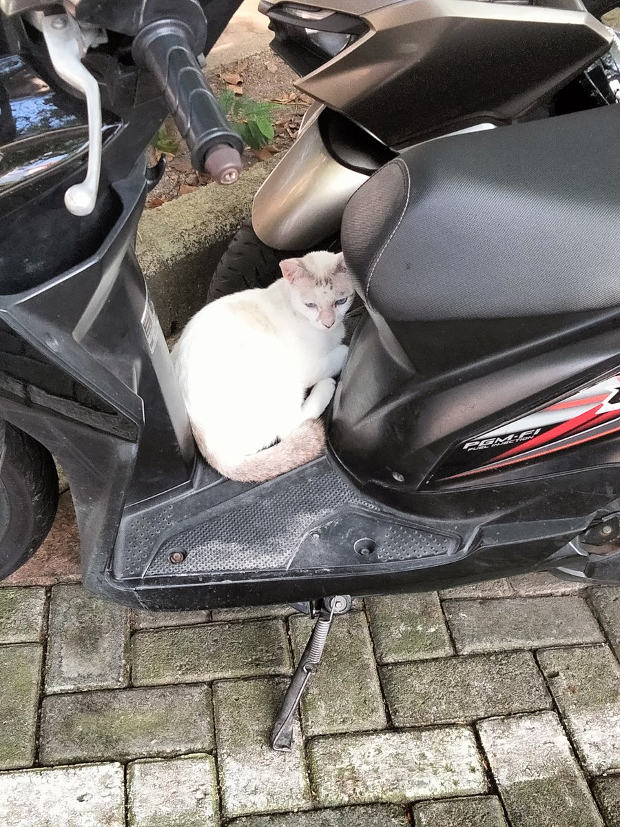 beaubluedream's tweet photo. tiap parkir disitu pasti ada yg ngaso wkwkwk https://t.co/AQ8xZqQIKz