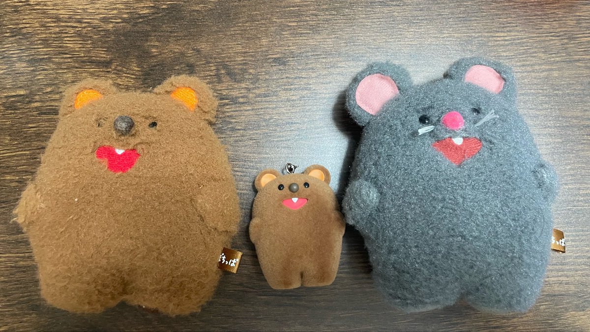 emi__5's tweet photo. ぽちっぱのガチャガチャ見つけて即購入、ちゅっぱが居ないのが残念やけど、目当てのくまっぱをゲットできて嬉しい😊
ぬい達と並べてみた、可愛い( ´,,•ω•,,`) https://t.co/ips0hnzqye