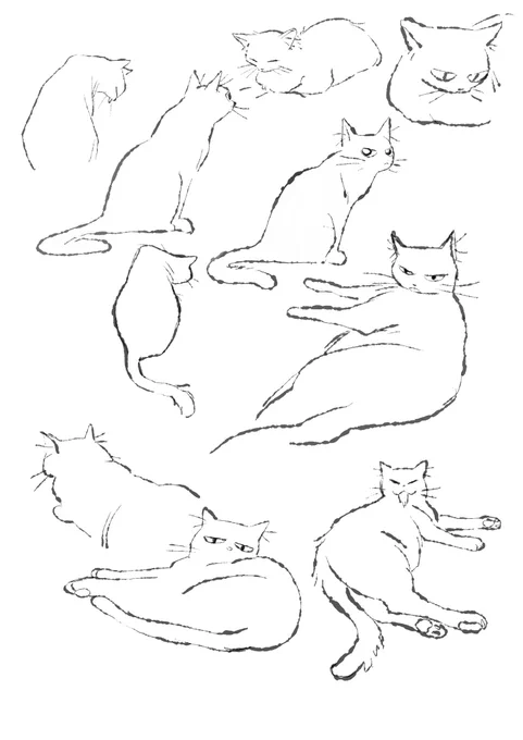 chat 