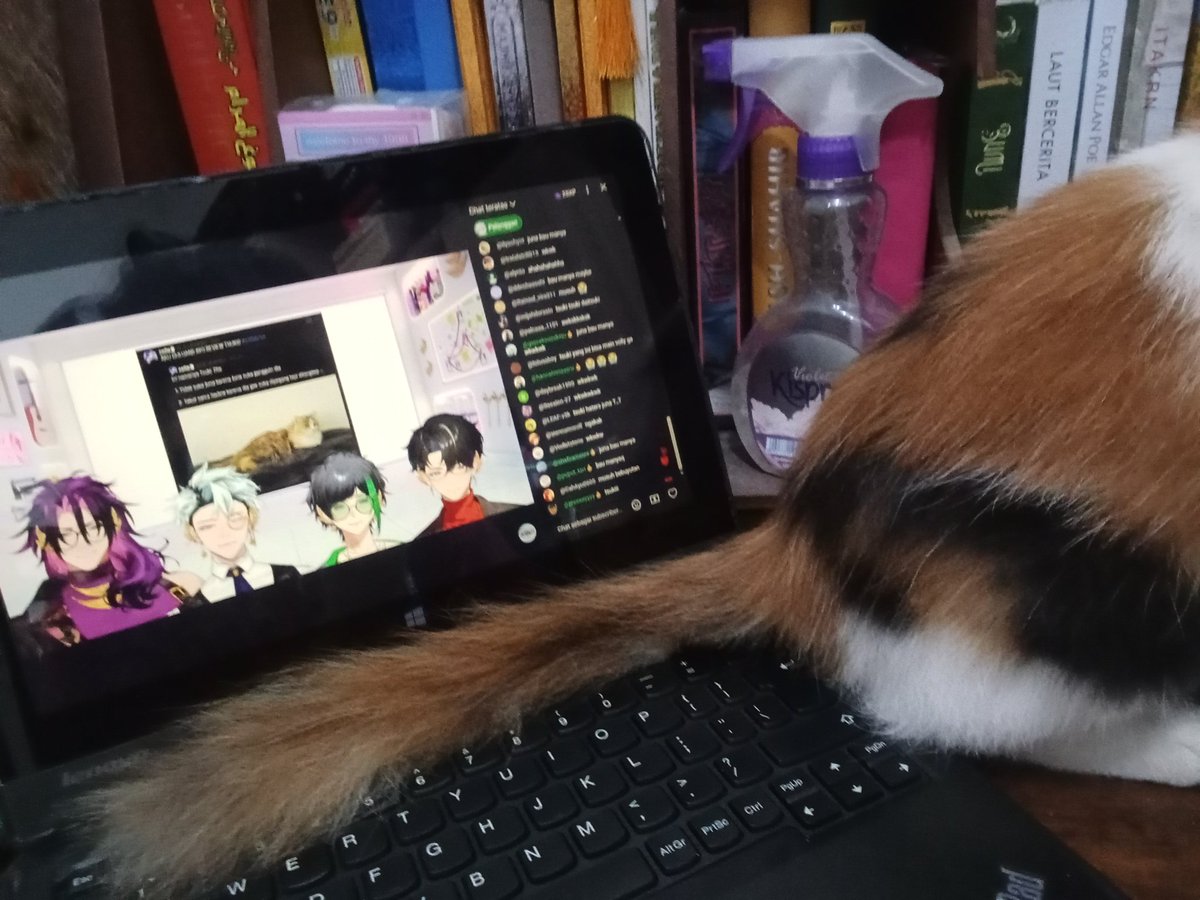 kaiga tweet media
