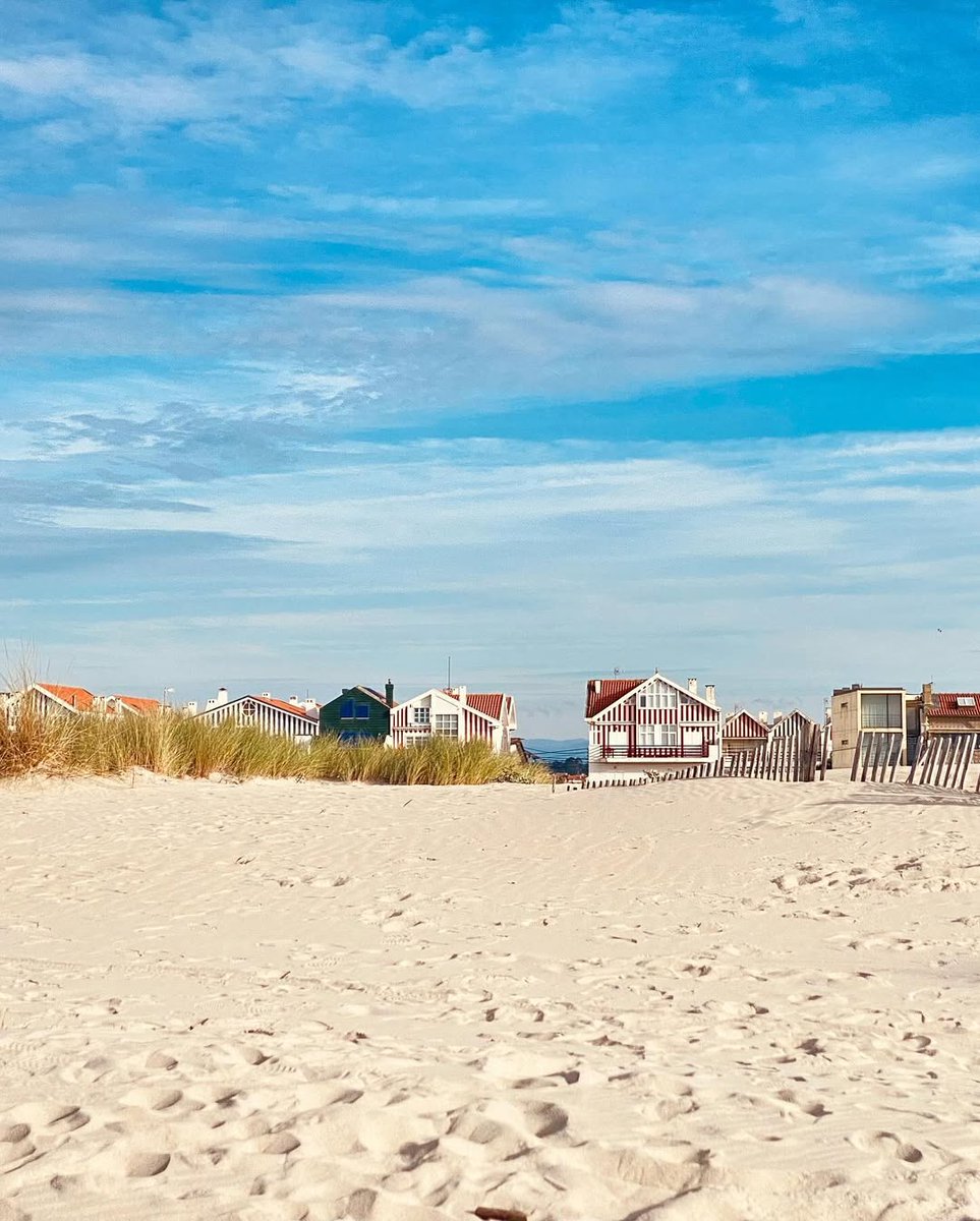 CentroPortugal's tweet photo. Na Costa Nova, o verão tem outro sabor… mais leve, mais bonito, mais nosso. 💛

Se ainda procura uma praia para juntar à lista deste verão, aqui fica mais uma sugestão.

📷 @laurencemeganck

#Ilhavo #CentrodePortugal #TurismoCentrodePortugal https://t.co/w1tnAlqu8v