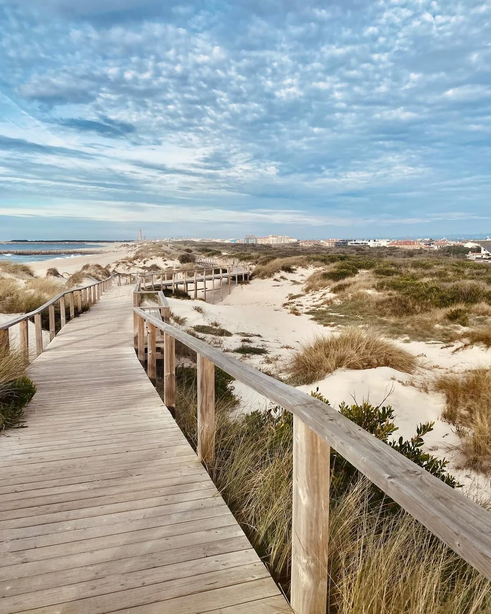 CentroPortugal's tweet photo. Na Costa Nova, o verão tem outro sabor… mais leve, mais bonito, mais nosso. 💛

Se ainda procura uma praia para juntar à lista deste verão, aqui fica mais uma sugestão.

📷 @laurencemeganck

#Ilhavo #CentrodePortugal #TurismoCentrodePortugal https://t.co/w1tnAlqu8v
