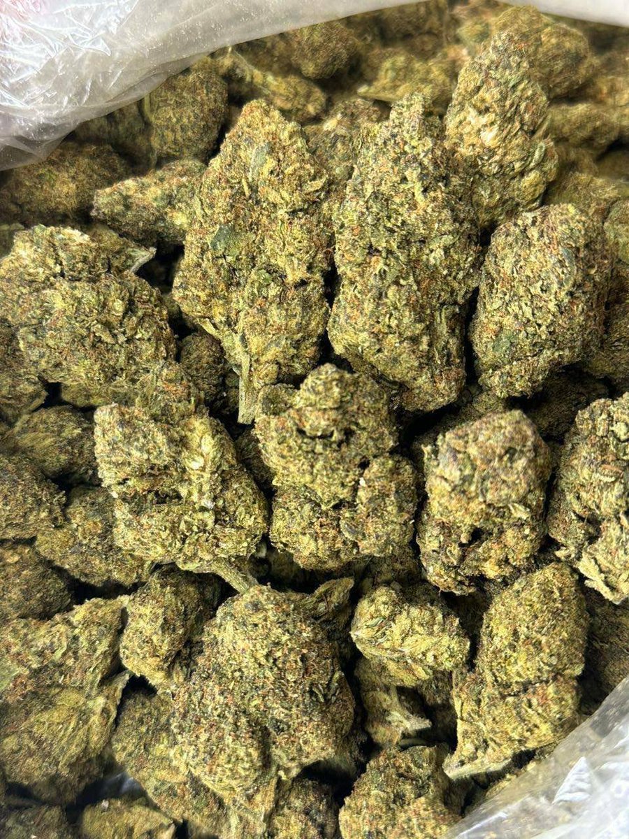 Chocobars01's tweet photo. Buy Psilocybin (magic mushrooms), LSD, DMT , 5-MeO-DMT, Mescaline, 2C-B, Ayahuasca, Ibogaine, MDMA
Cannabis flower (weed), Hashish, THC oil, THC vape cartridges, Edibles (THC-infused), Delta-9 THC, Delta-8 THC bud , lsd 
PLANO
FRISCO
THE WOODLANDS
SANTA CLARA https://t.co/92Lpo0srd9