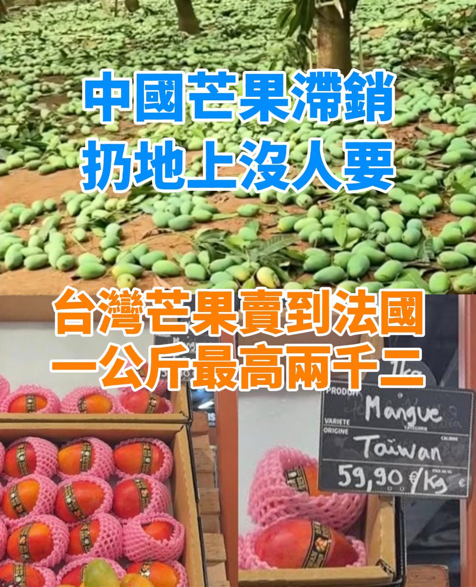福爾摩沙向日葵 tweet media