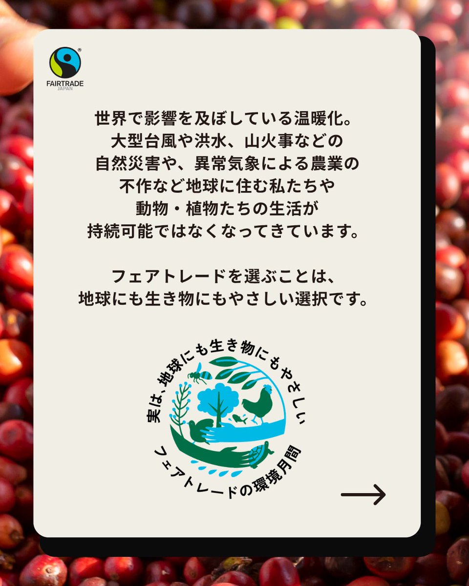 fljp's tweet photo. 【フェアトレードの環境月間】フェアトレード × 環境クイズ🌏

実は、地球にも生き物にもやさしいフェアトレード。

6月の「フェアトレードの環境月間」では、まだまだ知られていない「フェアトレード」と「環境保全」のつながりをクイズでお届けします✨

今回の問題は...

『コーヒーの赤い実からコーヒー豆を取り出す工程で出る汚れた水。この汚水はどうするといい？』

1. 自然の力におまかせして川へ流す
2. 水を減らせるなら、処理はあと回し
3. 土や川に悪い影響が出ないよう管理する

気になる答えは...
スライドしてチェックしてくださいね💚

実は、国際フェアトレード基準には「人と地球を守るための厳しい約束（環境基準）」がセットになっています🤝✨

6月は「フェアトレードの環境月間」。
みなさんも、フェアトレードと環境のつながりを知り、日々の選択肢に「フェアトレード」を加えてみませんか？
商品についている「国際フェアトレード認証ラベル」が目印。ぜひお買い物の際に探してみてください🧑🏼‍🌾🌿

#フェアトレードの環境月間 #フェアトレード #fairtrade #気候変動