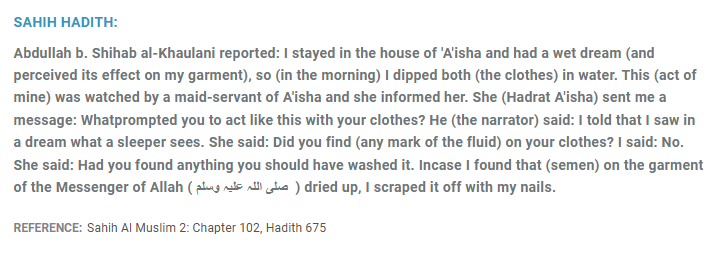 AnyDutch20's tweet photo. @SpearLover123 @Farid_0v So nice of Aisha to give advice to all these men staying the night at her house about ghusl after sex and how to wash clothes after ejaculation. Totally normal of course and not suspicious in the least. 100,000 sahabi but only Aisha there to help them https://t.co/uAtrh5nXvV