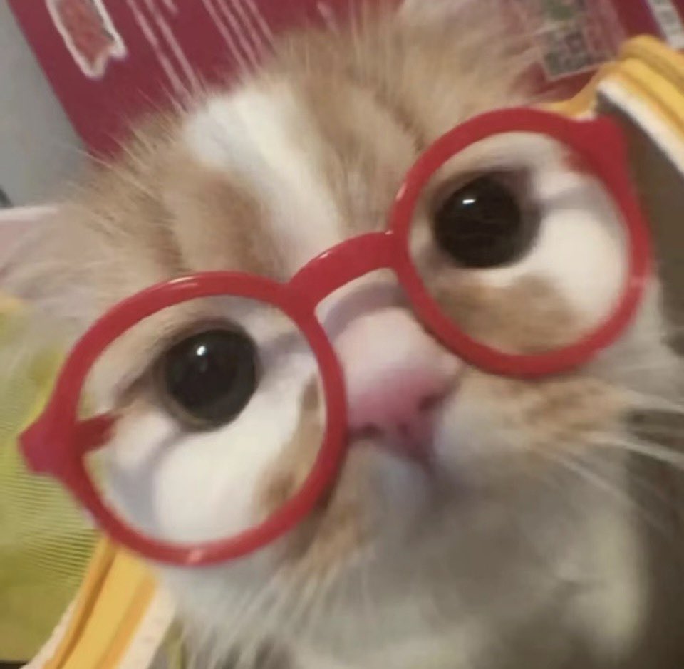 kittyxlee's tweet photo. https://t.co/dUCmua6uF9