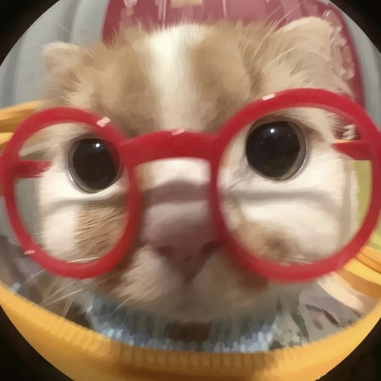 kittyxlee's tweet photo. https://t.co/dUCmua6uF9