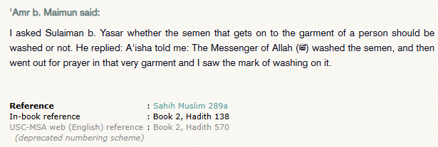 AnyDutch20's tweet photo. @SpearLover123 @Farid_0v So nice of Aisha to give advice to all these men staying the night at her house about ghusl after sex and how to wash clothes after ejaculation. Totally normal of course and not suspicious in the least. 100,000 sahabi but only Aisha there to help them https://t.co/uAtrh5nXvV